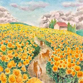 Gonta the dog running in sunflower field