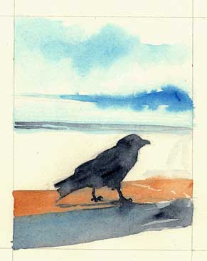 crow on the beach