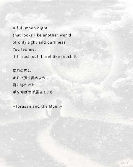 A full moon night/that looks like another world/of only light and darkness./You led me. If I reach out, I feel like reach it. ~Torasan and moon~